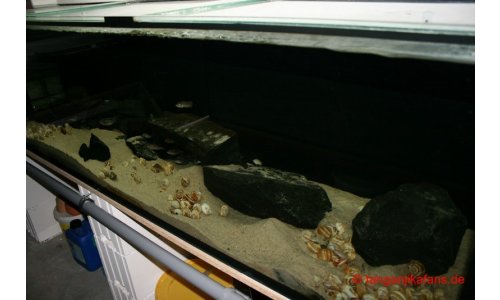 Schaubecken 900l